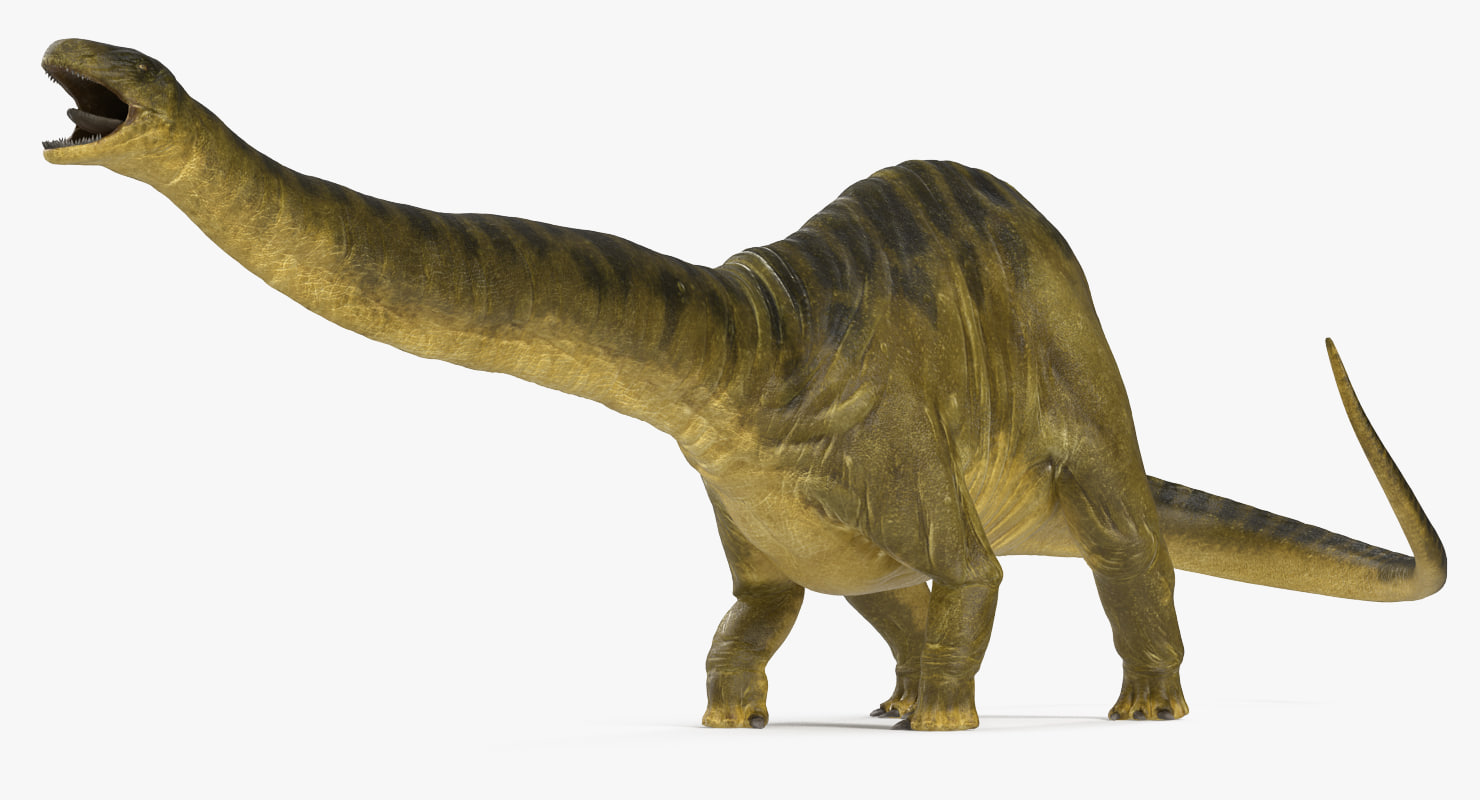 apatosaurus 3d