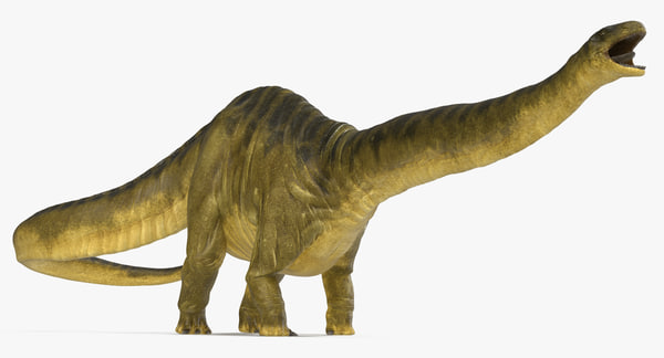 apatosaurus 3d