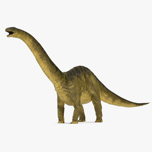 3d apatosaurus dinosaur model