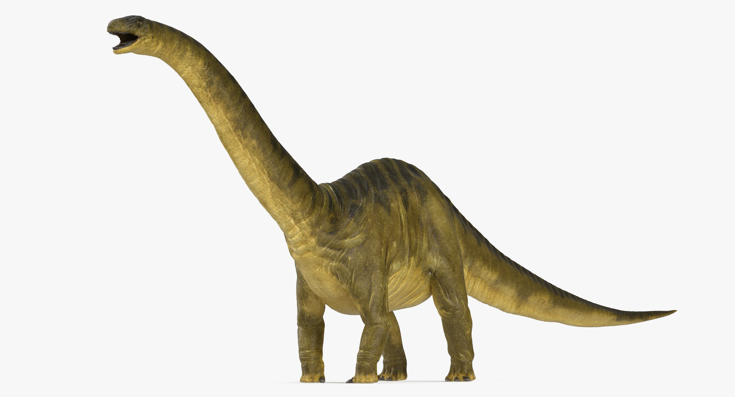 3d apatosaurus dinosaur model