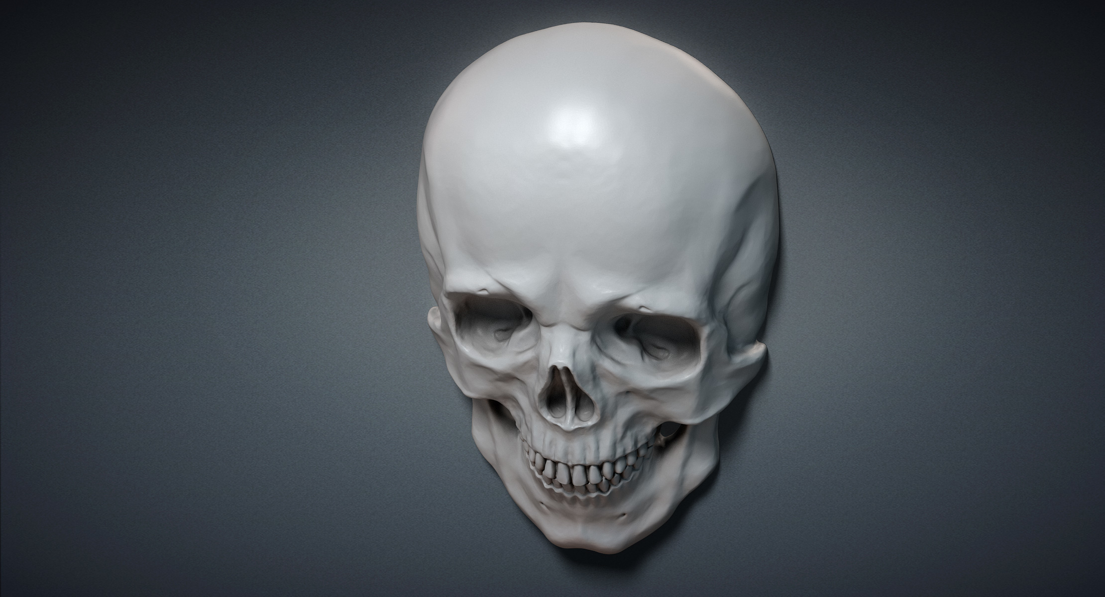 人类头骨救济3d模型