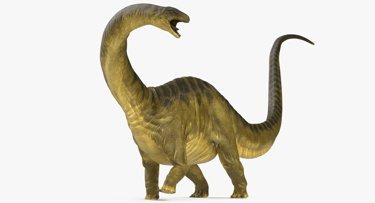 apatosaurus 3d