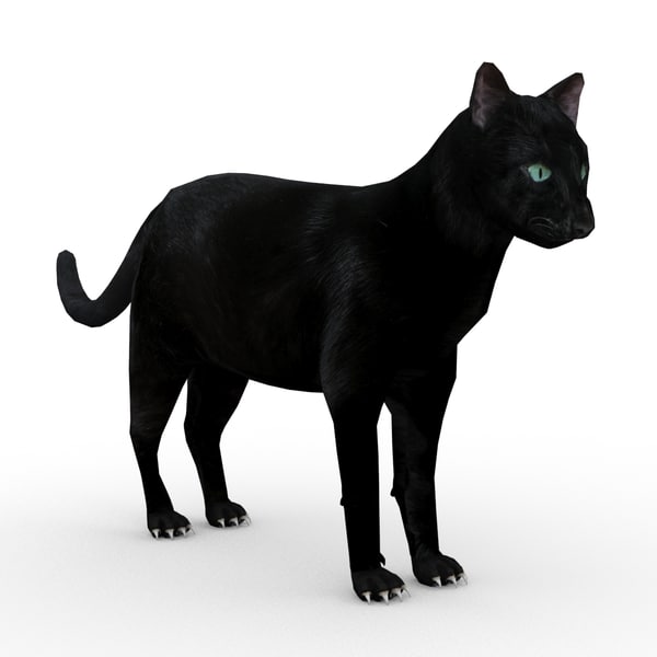 Black cat modeling. Черный кот 3d модель. Модель черной кошки. Черная кошка 3д. Коллекция черных кошек.