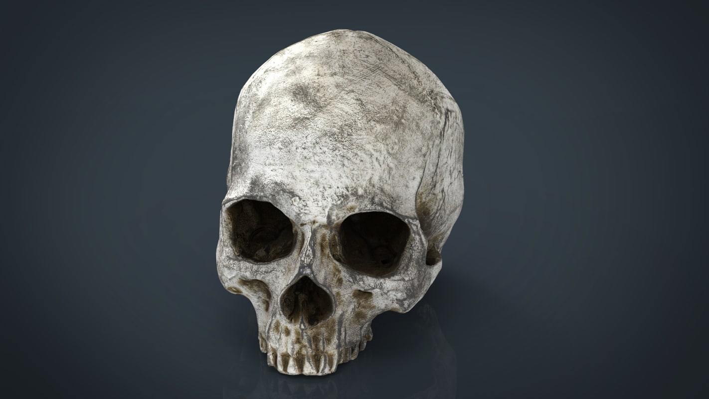 realistic skull 3d obj