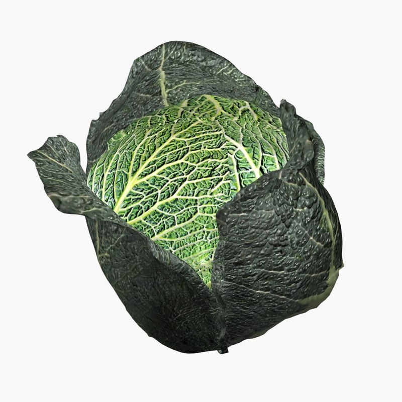 Savoy Cabbage