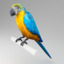 rigged ara parrot 3d model