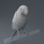 rigged ara parrot 3d model