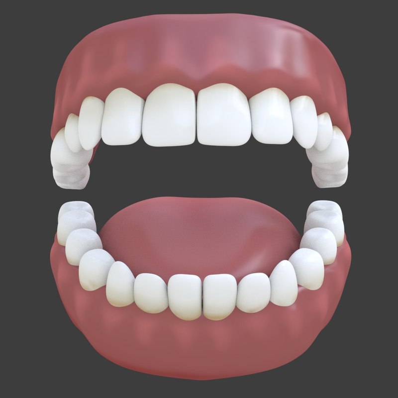 3d model teeth tongue