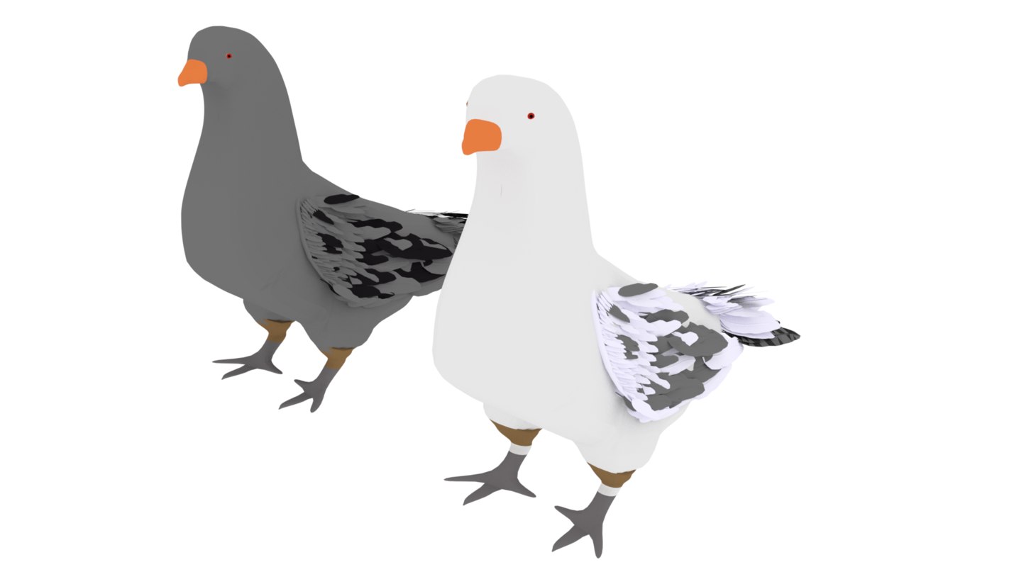 pair-pigeons-3d-3ds