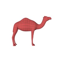 base mesh camel 3d model