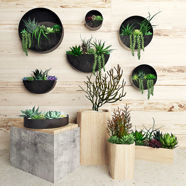 Seven Solid Reasons To Avoid Where To Buy Succulents In Bulk