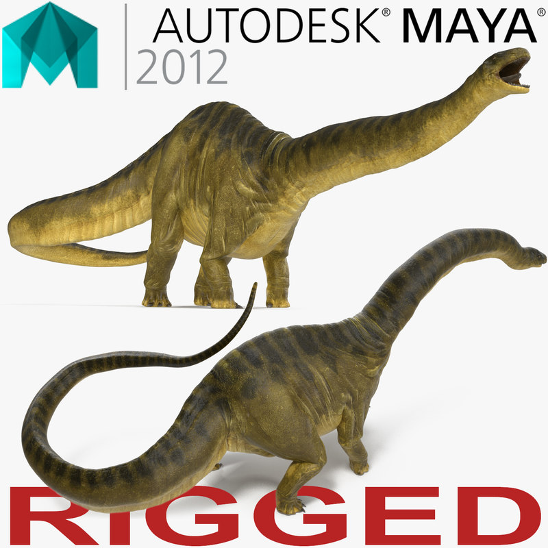 apatosaurus 3d