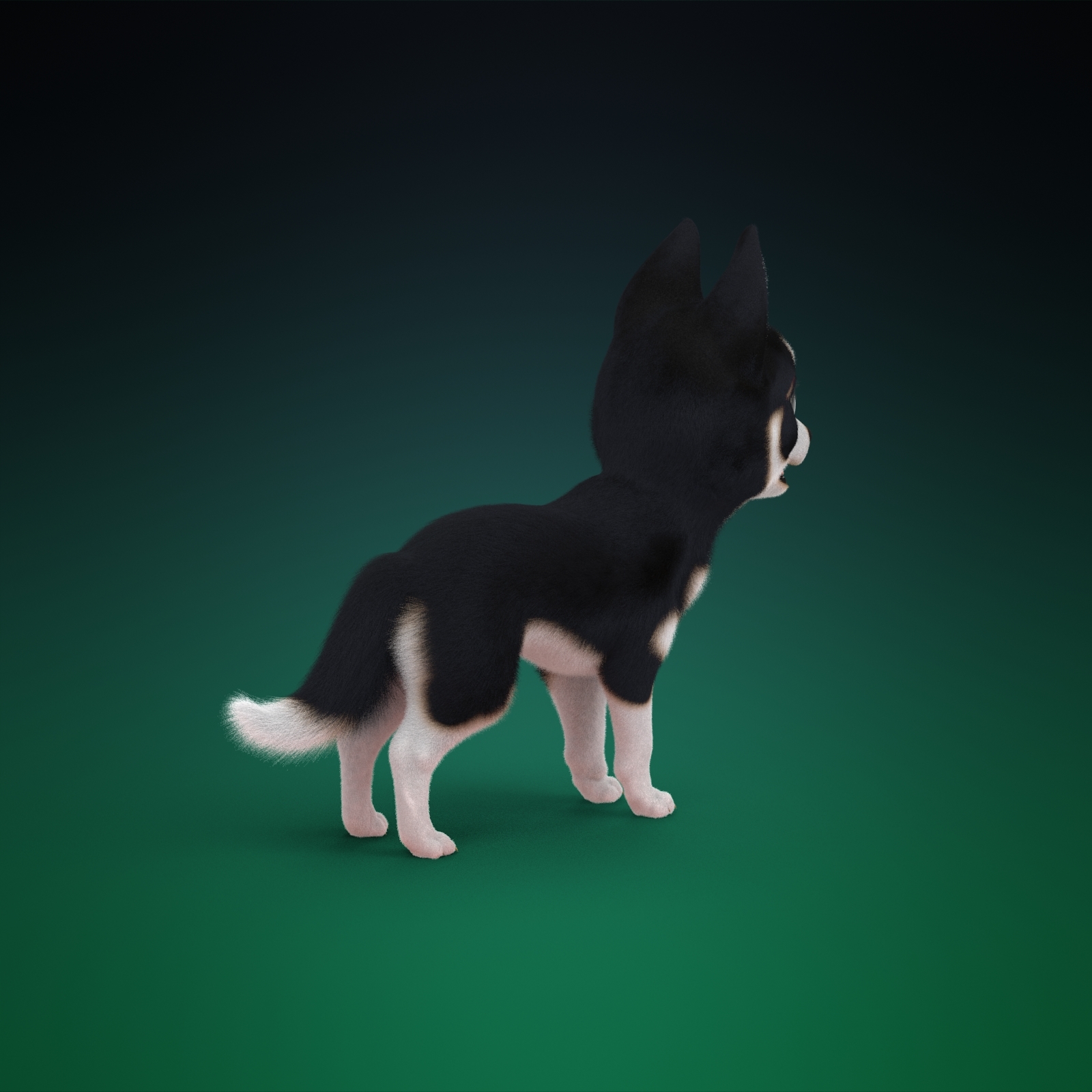 卡通哈士奇3d模型