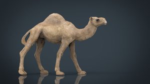 camel stl 3d max