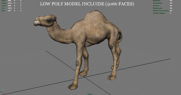 camel stl 3d max