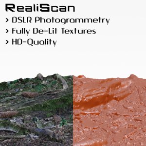 realiscan photogrammetry old branch 3d model
