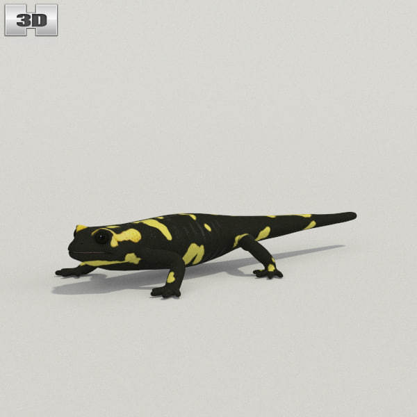 Защелка salamander 2d 3d md13