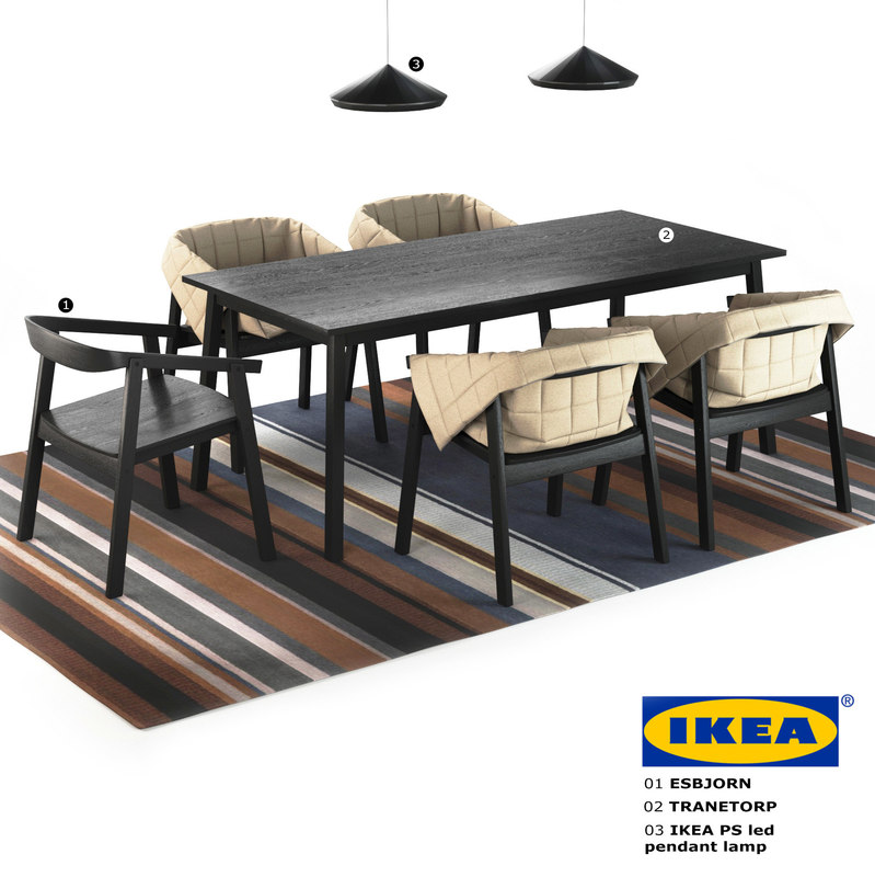 Ikea Chair Esbjorn Table 3d Model