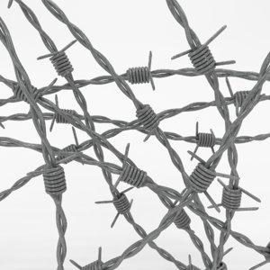 3d model barb wire