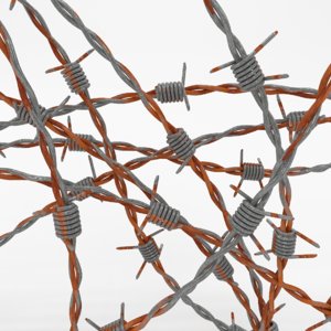 3d barb wire model
