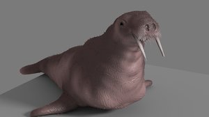 walrus blend