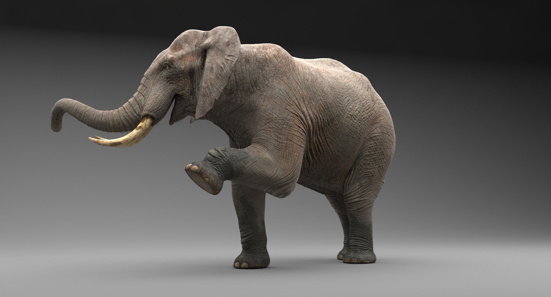 大象动画3d模型