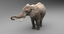 3d model elephant rigging animation