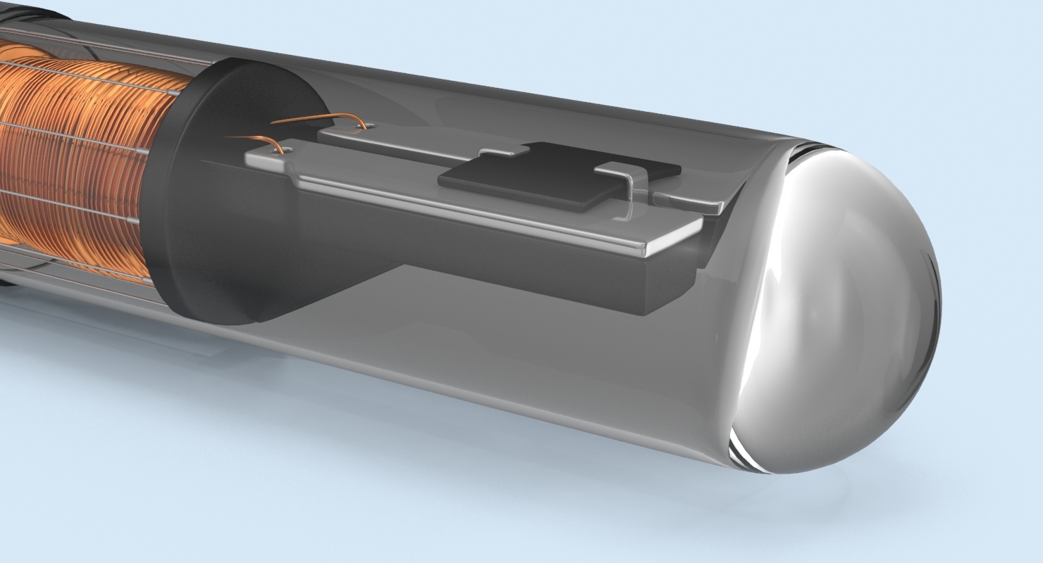 max microchip implant