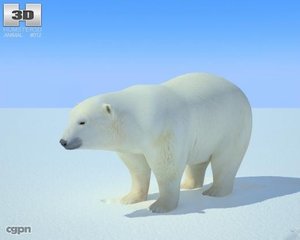 3d model polar bear