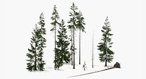 3d model of set spruce trees
