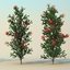 3d 2 tree scatter model