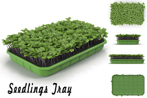 seedling tray 3d max