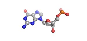 guanosine cytidine dna 3d model