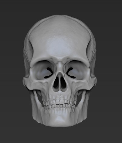 skull obj file download