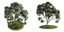 obj 7 plumeria trees