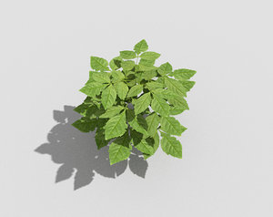 3d model plant games