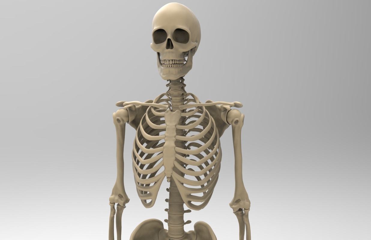 3d human skeleton