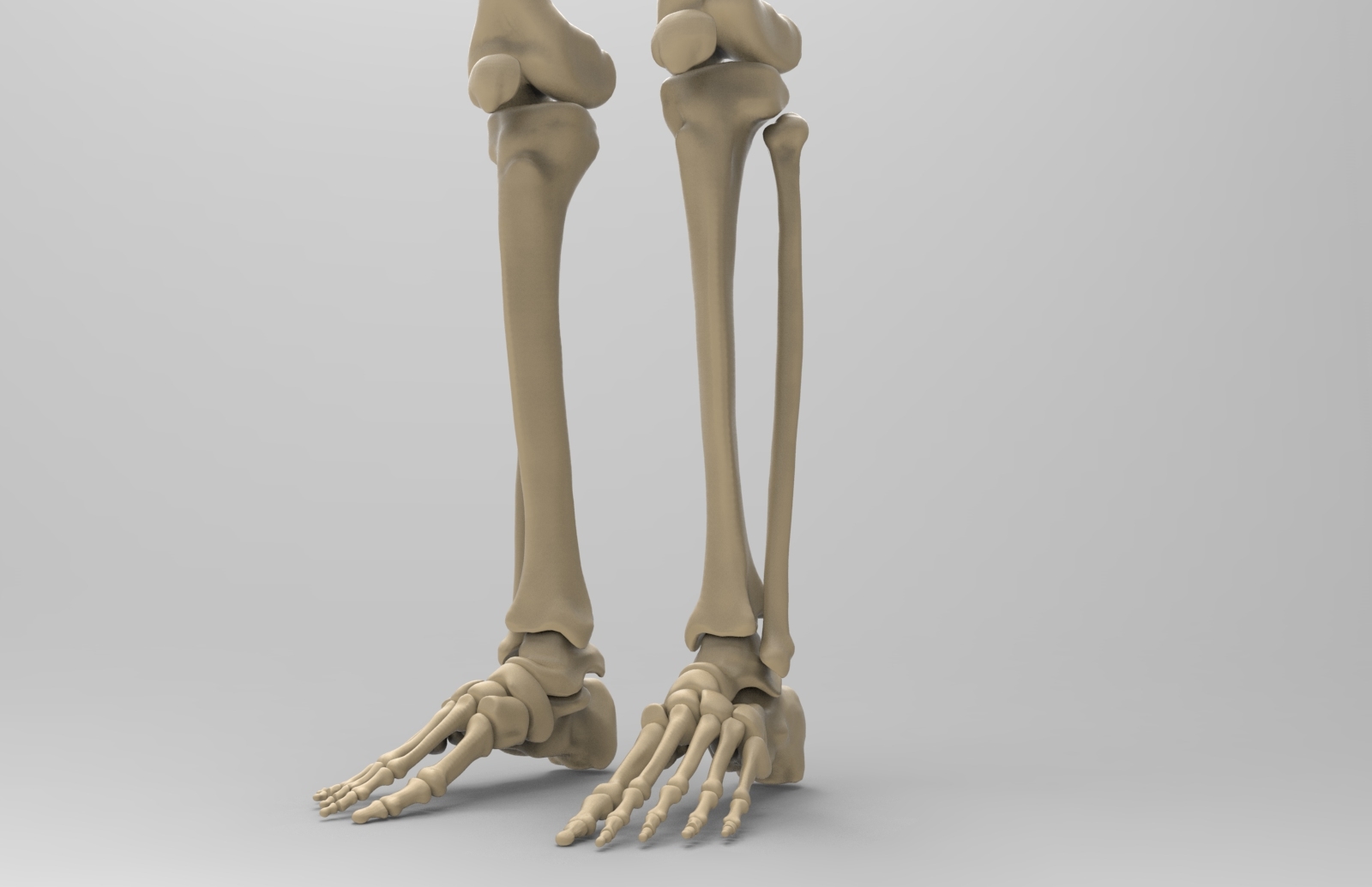 3d human skeleton