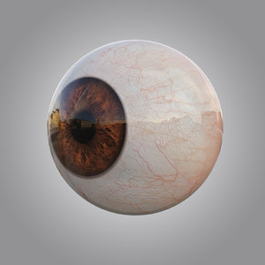 3d human brown eye