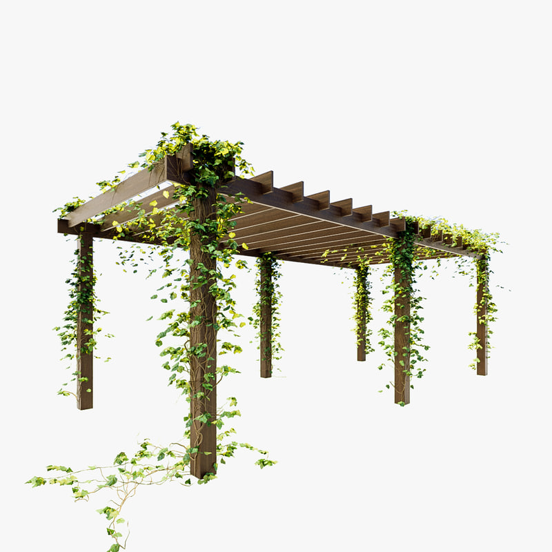 3d model sketchup pergola pergola model ivy 3d