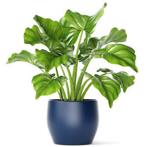 3d model of plant pot