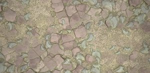 Rocky Ground