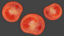 tomato set 3d fbx