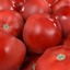 tomato set 3d fbx