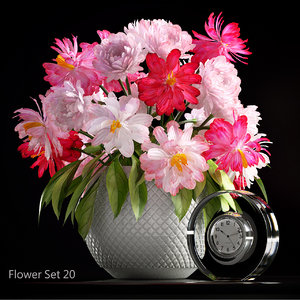 flower vase 20 max