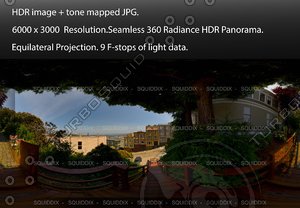 ON THE MACONDRAY STEPS IN SAN FRANCISCO # 2, 360 PANORAMA "555