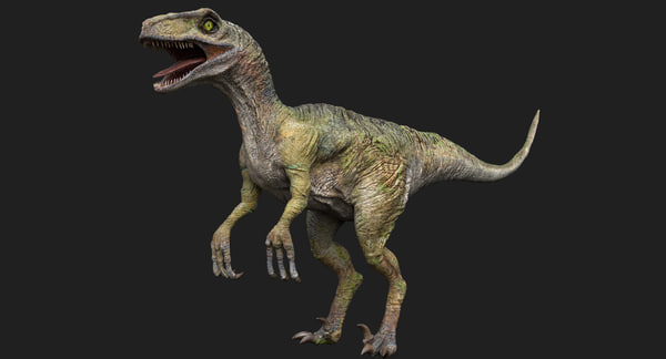 realistic raptor