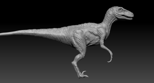 realistic raptor