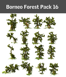 borneo forest pack 16 3d max