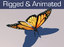 monarch butterfly animation 3d model